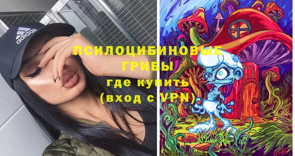 прущие крисы Строитель