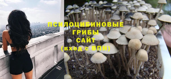 прущий лед Аркадак
